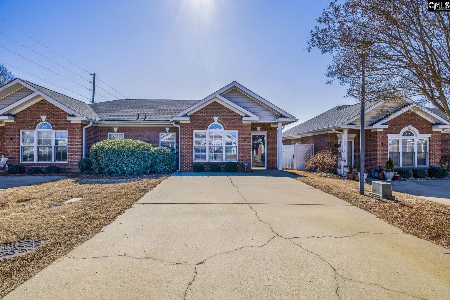 5 TALL PALMETTO Lane